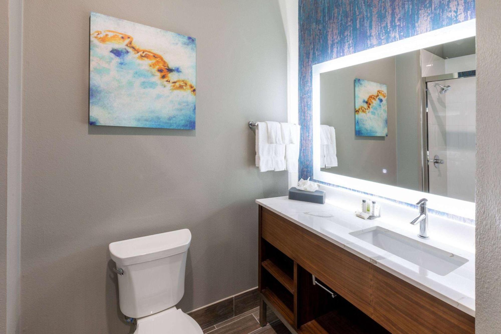 La Quinta Inn & Suites By Wyndham Dallas - Frisco Stadium Екстериор снимка